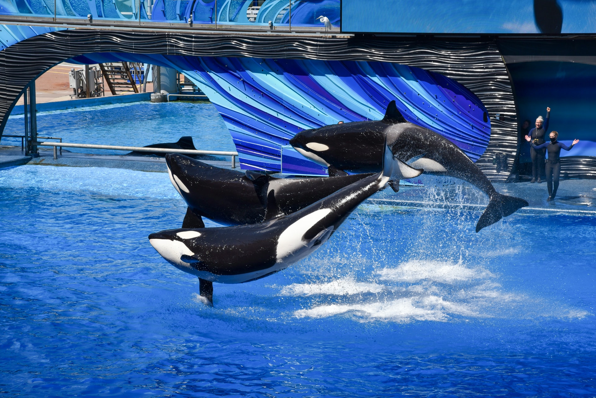 カウン ディング カウン ディング